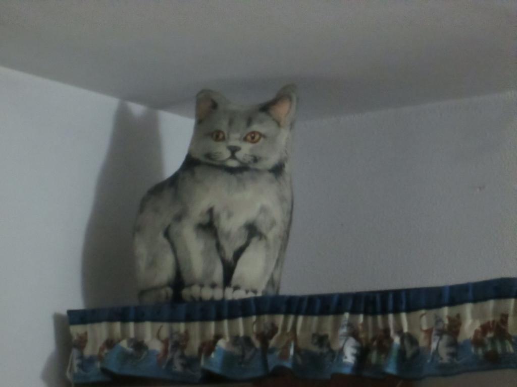 Апартаменты Cat'S House Лидо-ди-Остия Номер фото